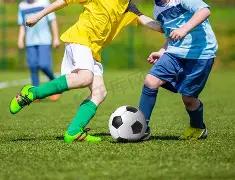 成都电竞消,费领航,赛事经济,3377体育官网,3377体育网页版入口,3377体育h5在线官网,3377体育app下载