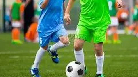 3377体育h5在线官网 资讯 103819 l32