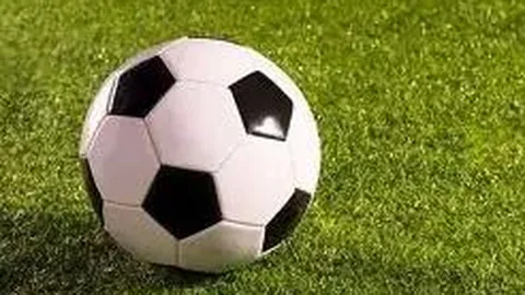 3377体育h5在线官网 资讯 103835 sd5