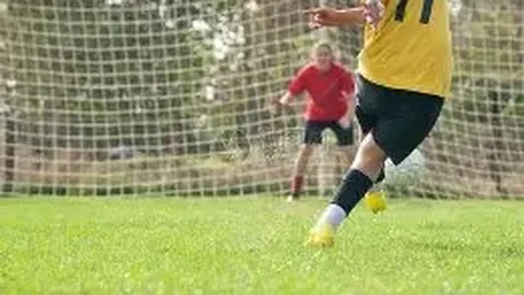 3377体育h5在线官网 产品 104458 9wd