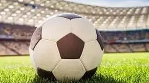 崇左市重金属环境安全隐患排查整治工作专班召开第十二次全体大会