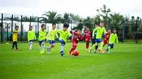 3377体育h5在线官网 资讯 093408 ntt